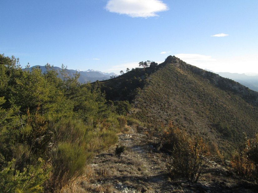 2013-12-15 Mont Falourde 000